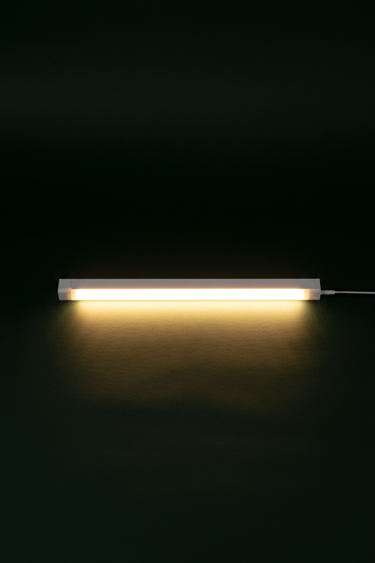 LUMBAR fond vert lumière chaude